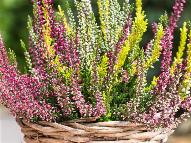 Фотогалерея