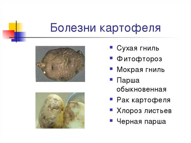 3. Химические методы борьбы с раком картофеля