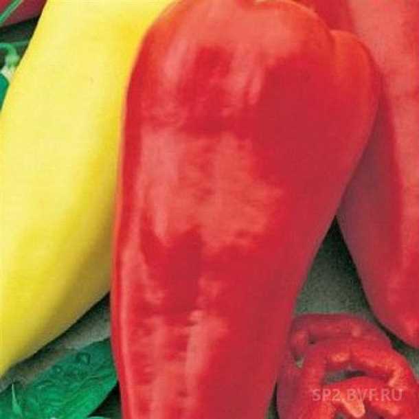 Агротехника в тепличных условиях