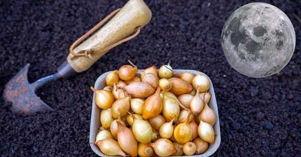 Глубина посадки