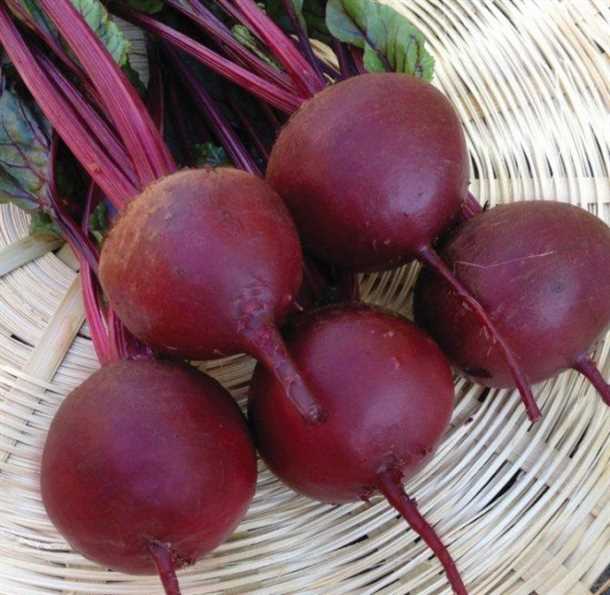 2. Техника сбора урожая