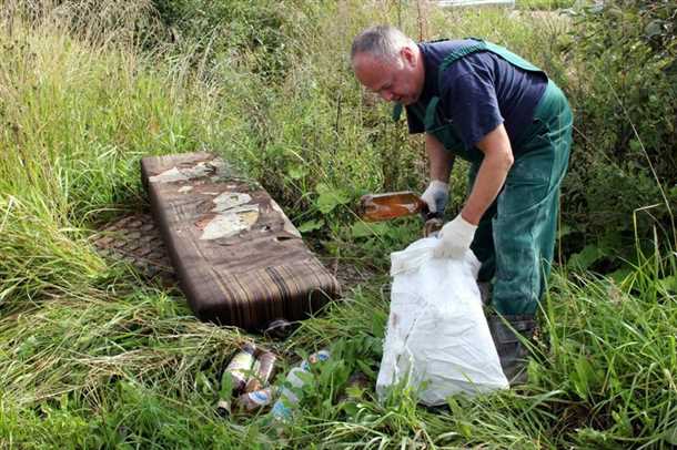1. Растения и цветы