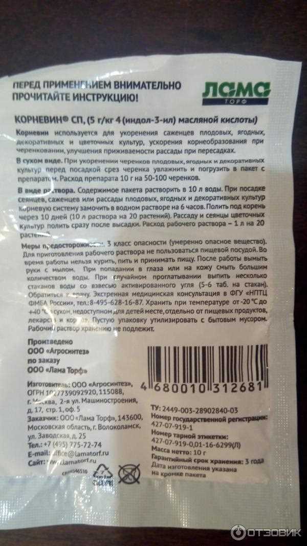 Почему важен рост корней?