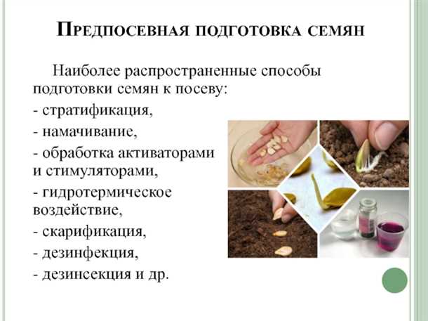 Особенности агротехники