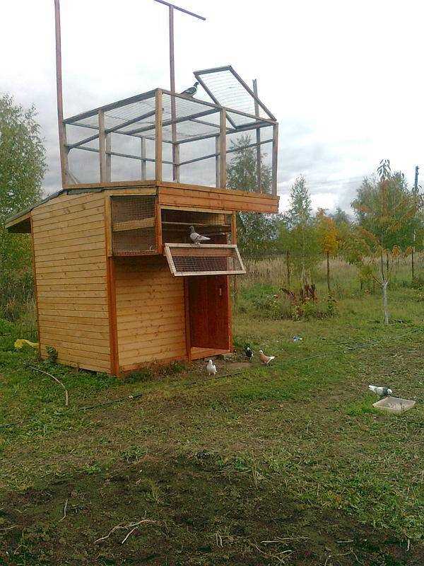 1. Ориентация