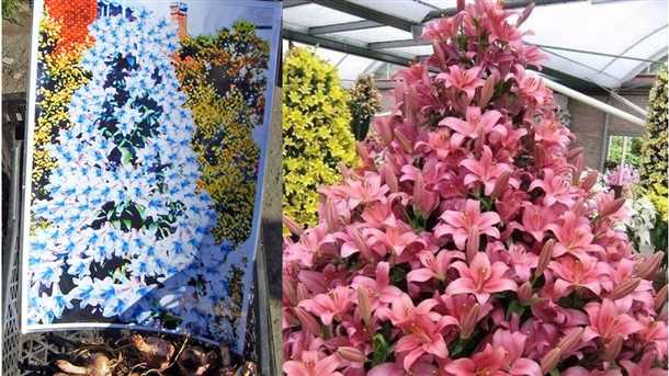 Особенности ухода