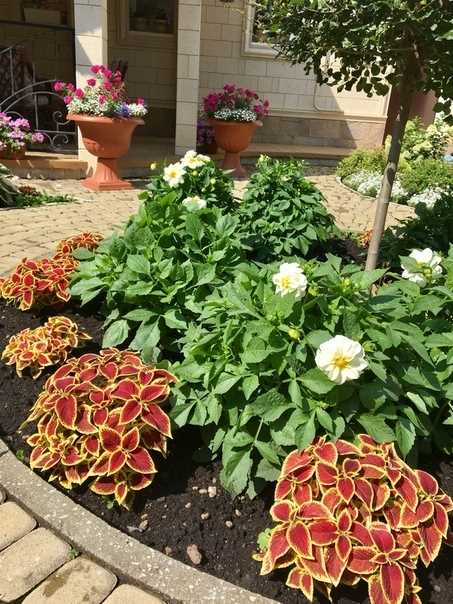 2. Ритм и гармония