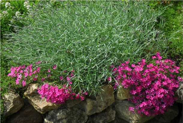 Зеленая зона отдыха