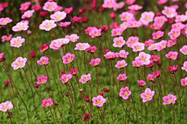 Температура