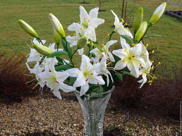 Советы и рекомендации