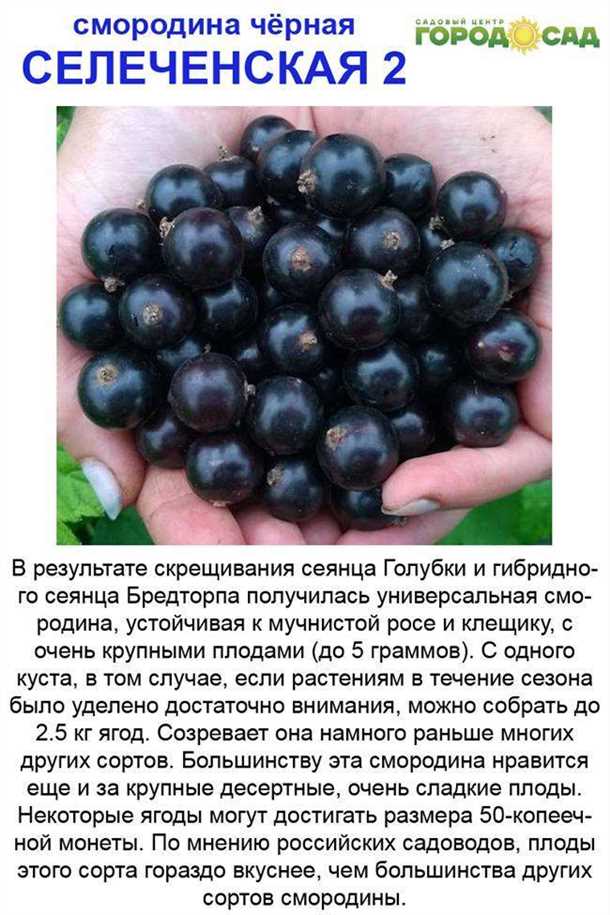 Вредители