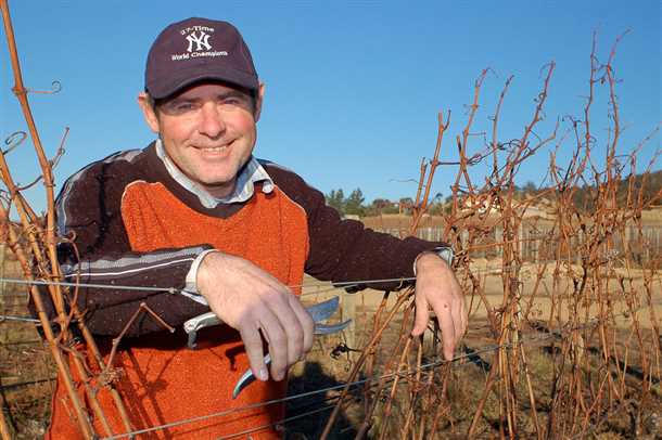 Вкусовые качества