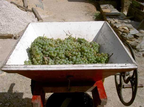 Шаг 2: Изготовление дробилки