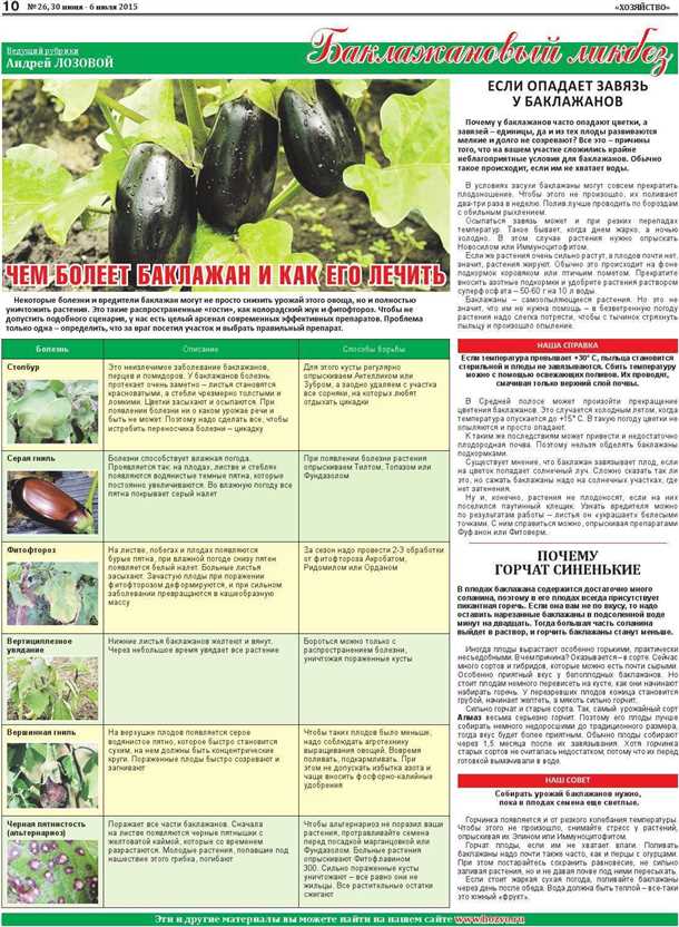 Болезни и вредители рассады и взрослых растений