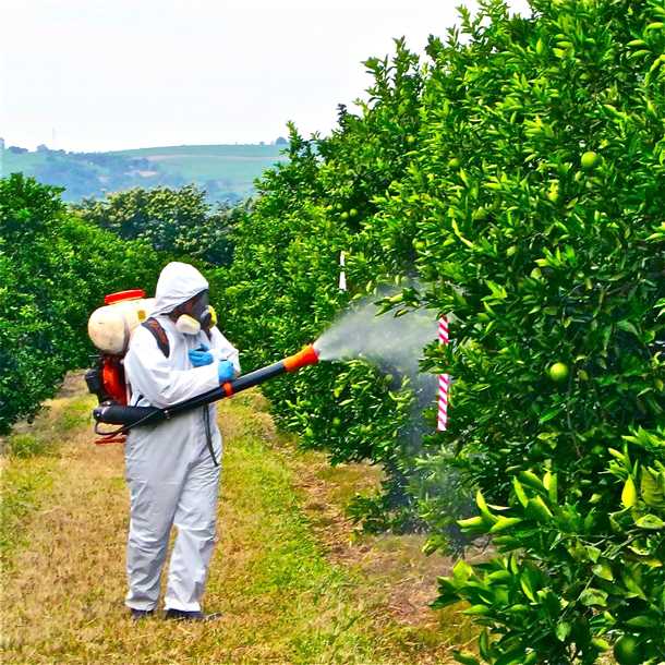 Борьба с вредителями растений является одной из важнейших задач в сельском хозяйстве. Ведь их воздействие может привести к значительным убыткам и даже влиять на безопасность пищевых продуктов. Помимо нанесения прямого ущерба растениям, вредители также могут быть переносчиками инфекционных заболеваний, что негативно влияет на здоровье животных и людей.