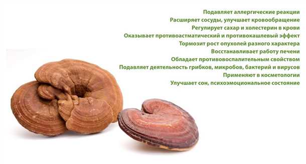 Правила выращивания