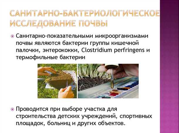 Химическое обеззараживание