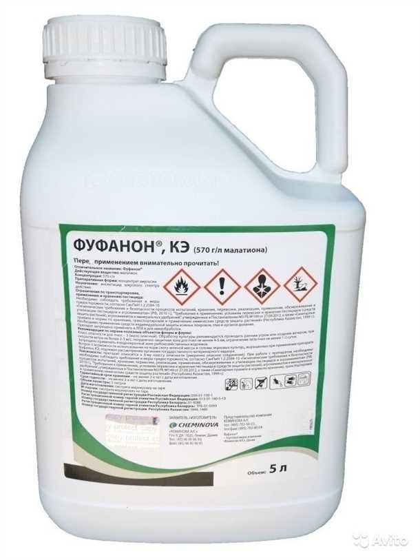 Эффективность