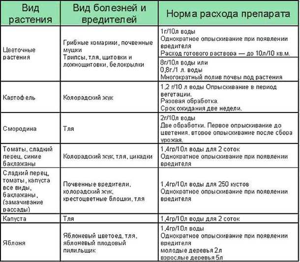 Как спасти томаты от фитофторы (видео)
